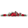 poinsettia - Items - 