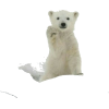 polar bear - 動物 - 