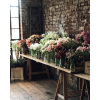 pots of flowers photo - Uncategorized - 