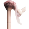 powder - Cosmetics - 