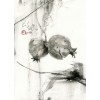 pozadina - Background - 
