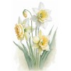 pozadina - Background - 