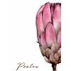 pozadina - Background - 