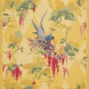 pozadina - Background - 