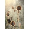 pozadina - Background - 