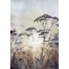 pozadina - Background - 