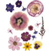 pressed flowers - Uncategorized - $3.95  ~ £3.00