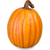 pumpkin - Articoli - 