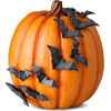 pumpkin - Items - 