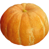 pumpkin - 小物 - 