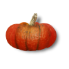 pumpkin - 饰品 - 