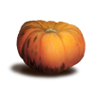 pumpkin - 饰品 - 