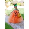 pumpkin - Ludzie (osoby) - 