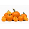 pumpkins - Predmeti - 