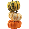 pumpkins - Articoli - 
