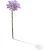 purple flower - 插图 - 