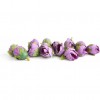 purple flowers - Fundos - 