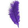 purple - Rascunhos - 