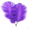 purple feather - Ilustracje - 