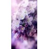 purple flowers - Природа - 