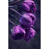 purple flowers - 自然 - 