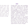 purple text - 插图用文字 - 