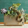 radio/plantpot - Items - 