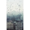 rain - 北京 - 