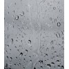 rain - Pozadine - 