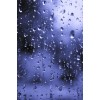 rain - Illustrazioni - 