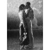 Rain - Moje fotografie - 