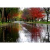 Rain - Meine Fotos - 