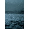 rainy roads - Priroda - 