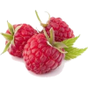 raspberry - Food - 