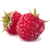 raspberry - 室内 - 