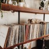 records and cat - Animals - 