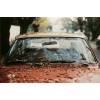 red car during autumn - Fahrzeuge - 