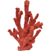 red coral - Natura - 