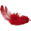 red feather - 小物 - 