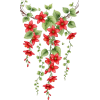 red flower vines - Plants - 