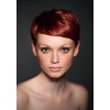 red hair - モデル - 