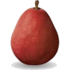 red pear - Uncategorized - 