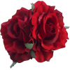red roses - 饰品 - 