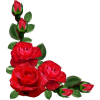 red roses - Items - 