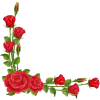 red roses - Articoli - 