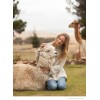 reformation-alpaca-collection- - Мои фотографии - 