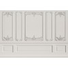 rococo style wall paneling - 室内 - 