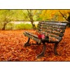 romantic autumn - Moje fotografie - 