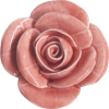 rose - Natur - 