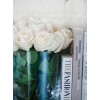 Roses And Books - My photos - 